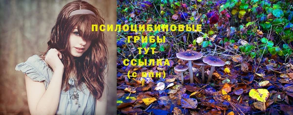 твердый Аркадак