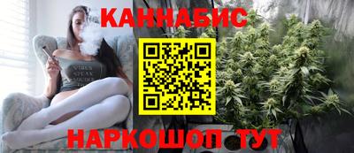 Альфа ПВП Обь