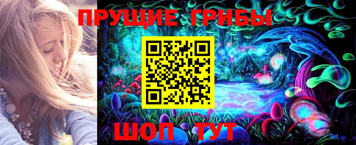 Галлюциногенные грибы Magic Shrooms Чернушка